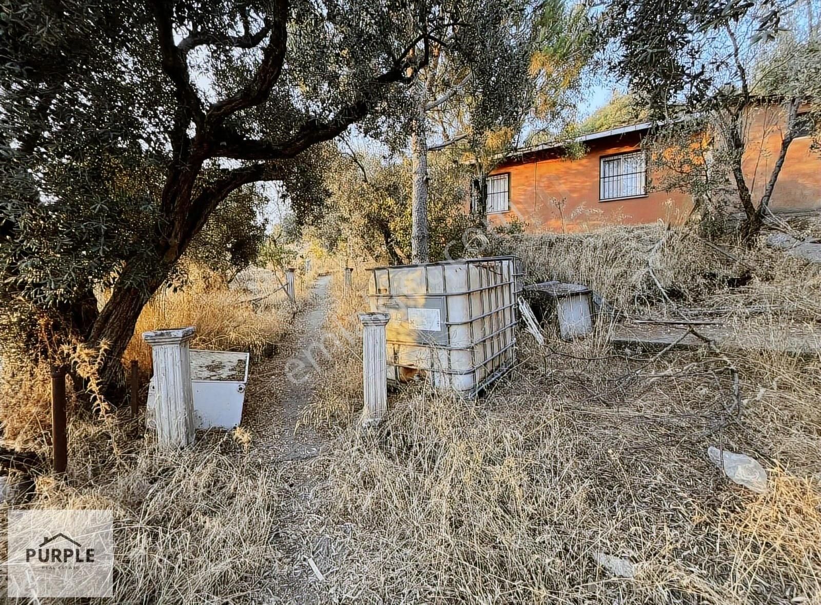 Kemalpaşa Yeşilyurt 3.161 M2 Müstakil Yapılı Satılık Bahçe - Görsel 21