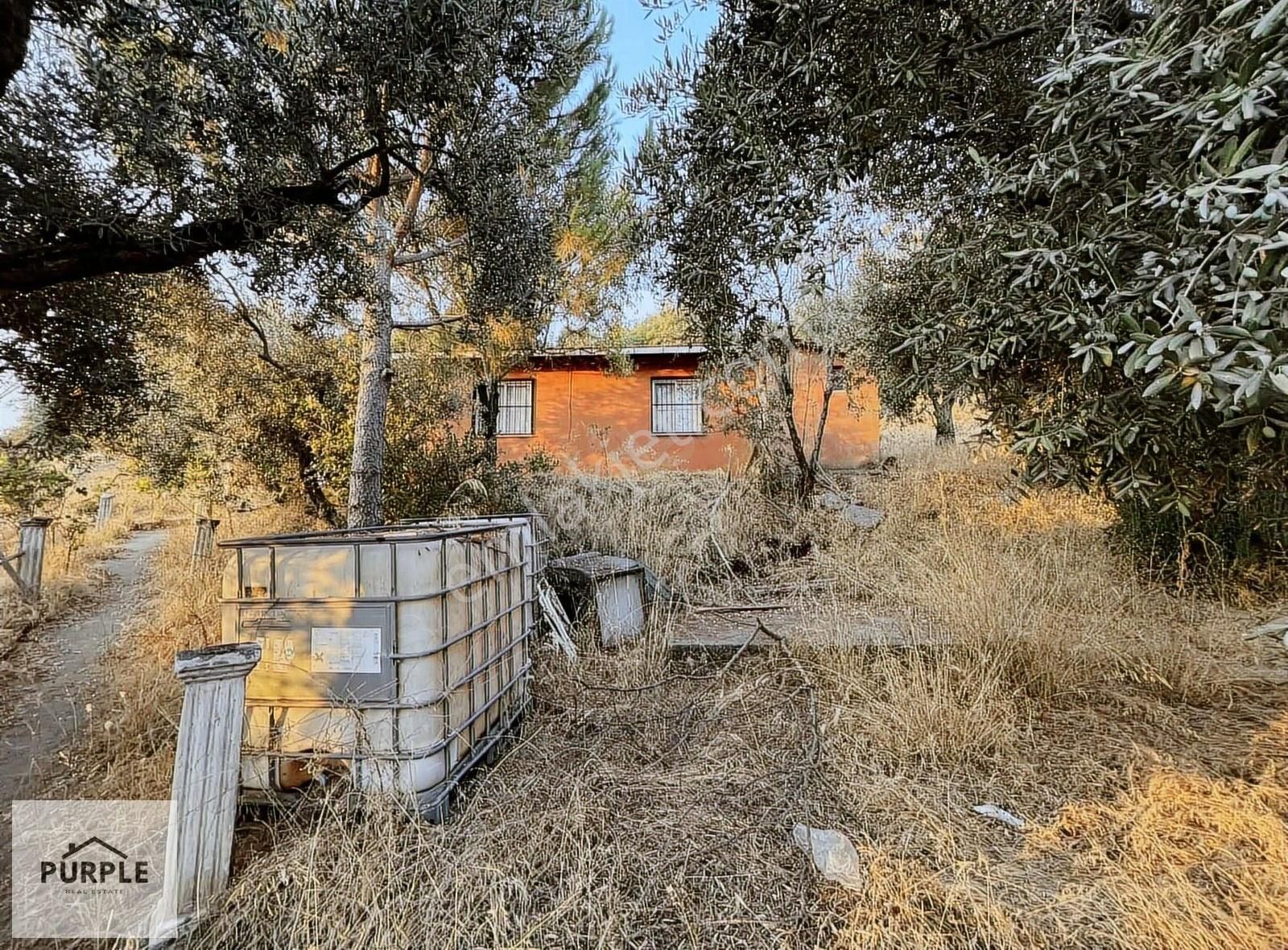 Kemalpaşa Yeşilyurt 3.161 M2 Müstakil Yapılı Satılık Bahçe - Görsel 6
