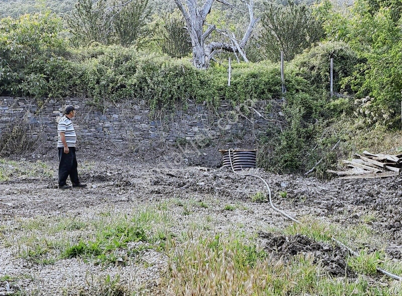 Kemalpaşa Ovacık Köyünde Ceviz Ve Çeşitli Meyve Bahçesi - Görsel 7