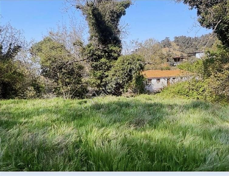 Kemalpaşa Sinancılar Köyünde İmarlı Bahçe - Görsel 3