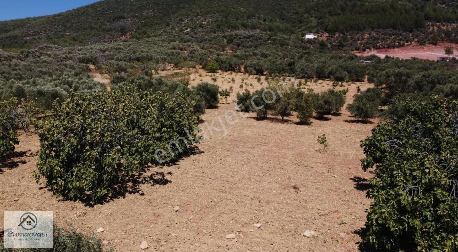 Cumaovası Emlaktan Satılık Torbalı-dağkizilca Da 11 Dönüm Tarla - Görsel 21