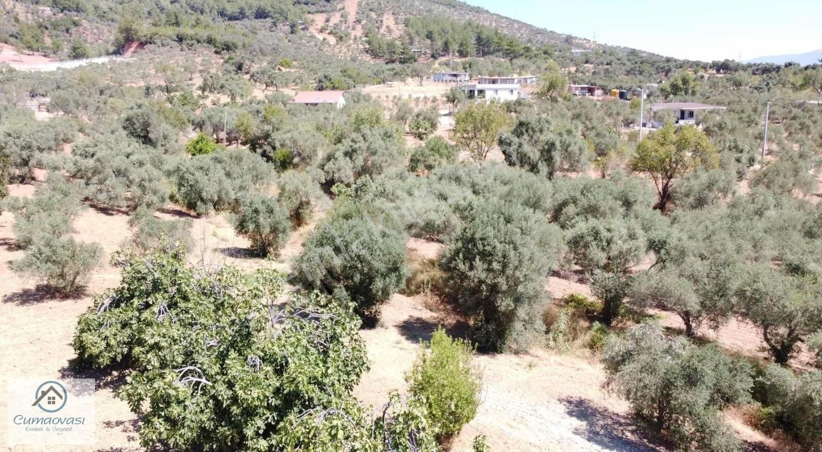 Cumaovası Emlaktan Satılık Torbalı-dağkizilca Da 11 Dönüm Tarla - Görsel 18