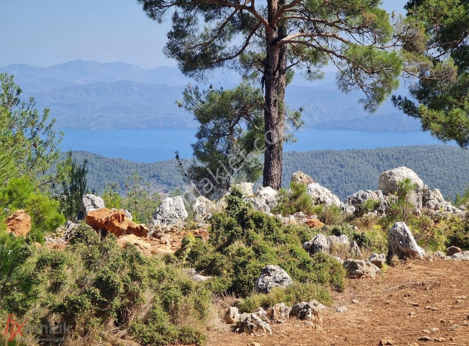 Acil Fırsat Deniz Manzaralı 5 Dönüm Özel Projeli Hazır Çiftlik