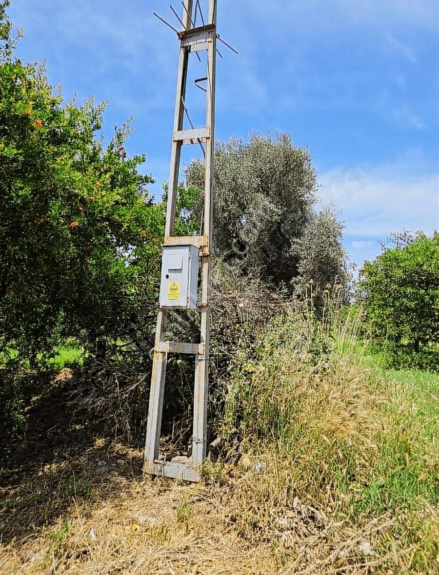 Nazilli Beşeyül Mah. Müstakil Elektrik Suyu Olan Hobi Bahçesi