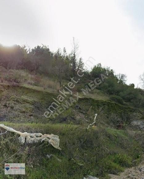 Alanya Yeniköy'de Satılık Tarla