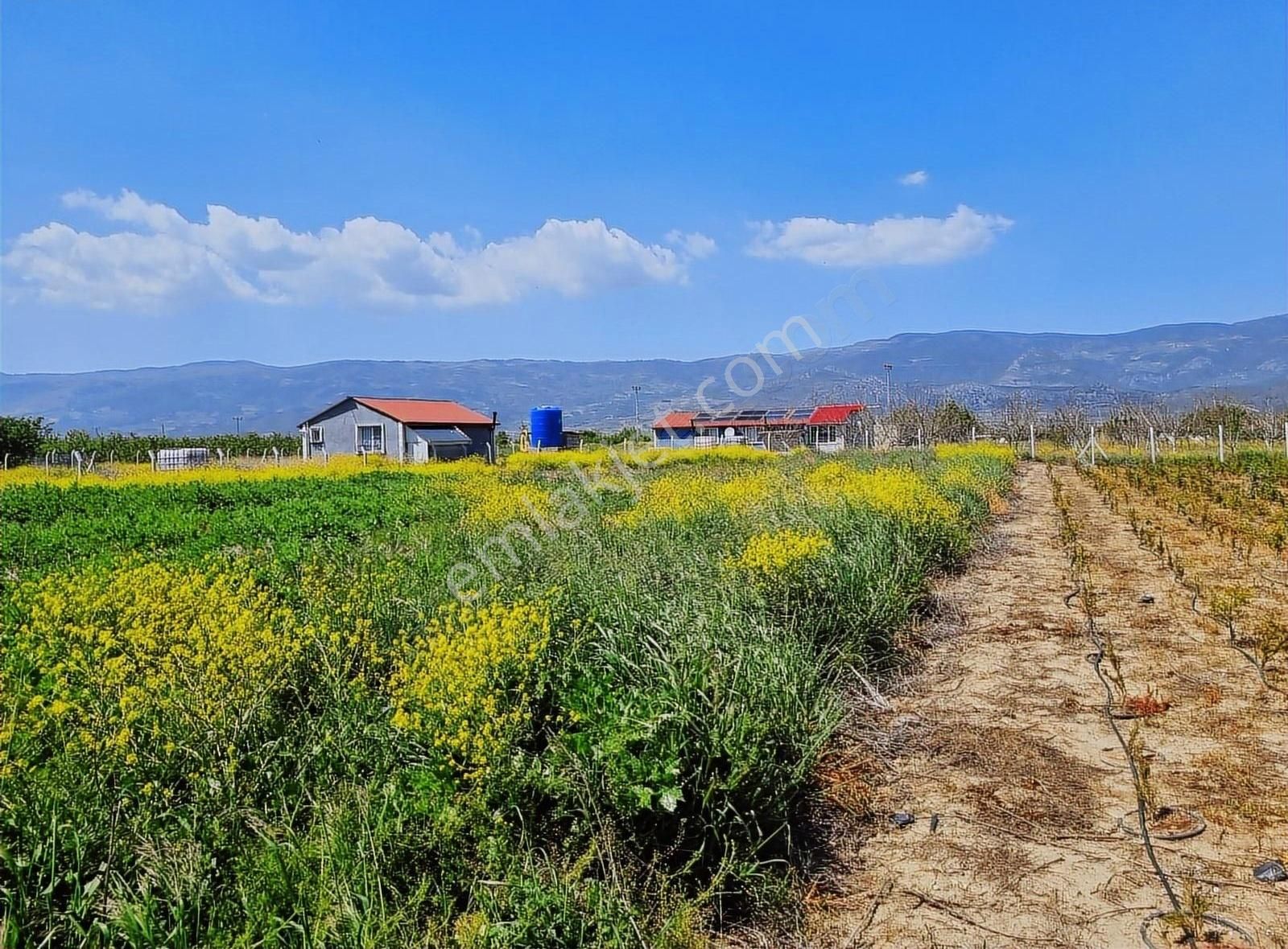Pamukova Fevziye Mahallesi Bağlar Mevkiinde 1680m² Arazi - Görsel 7