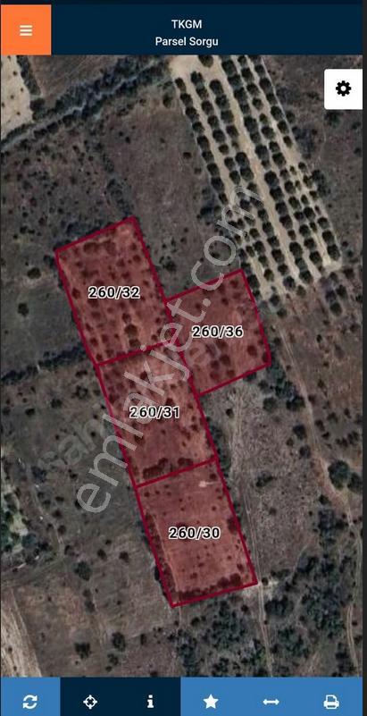 Isparta/senirkent Kıbrıs Mahallesi 8760 M² Tarla