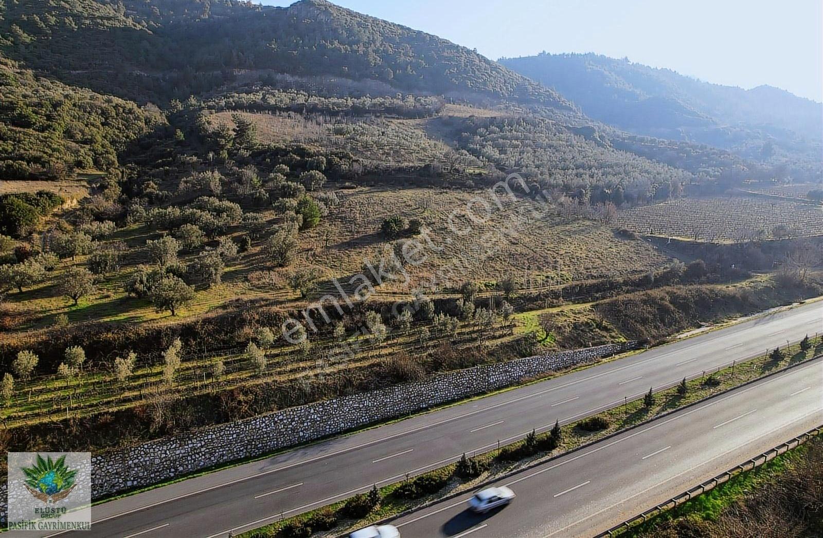 Pasifikten Manisa Turgutluda Anayol Üzeri 7419 M² Tek Tapu Arazi - Görsel 16