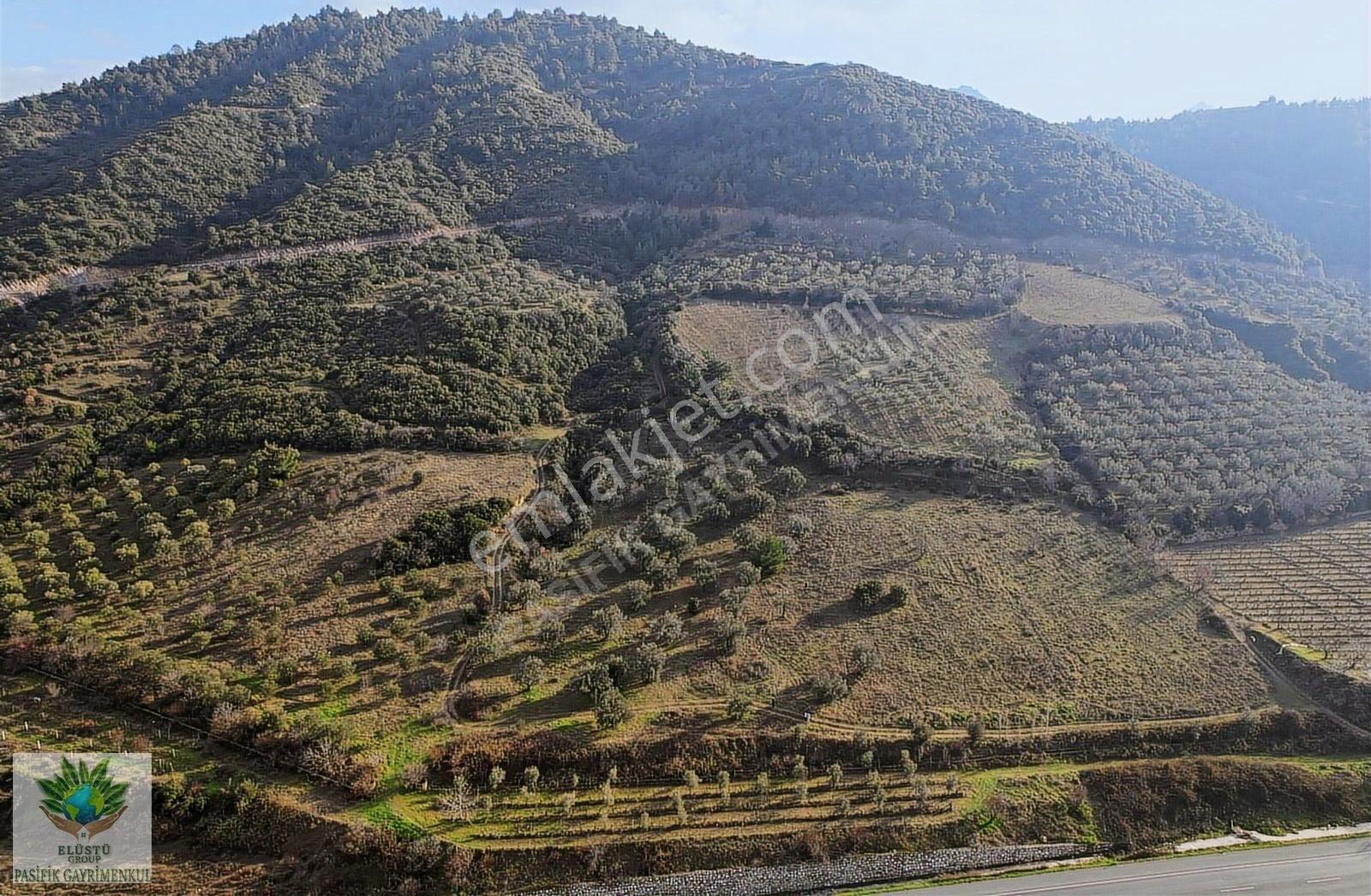 Pasifikten Manisa Turgutluda Anayol Üzeri 7419 M² Tek Tapu Arazi - Görsel 12