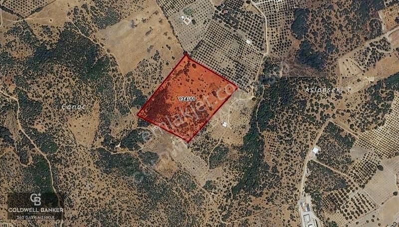 İzmir Dikili Demirtaş'ta Satılık Yatırımlık Arazi