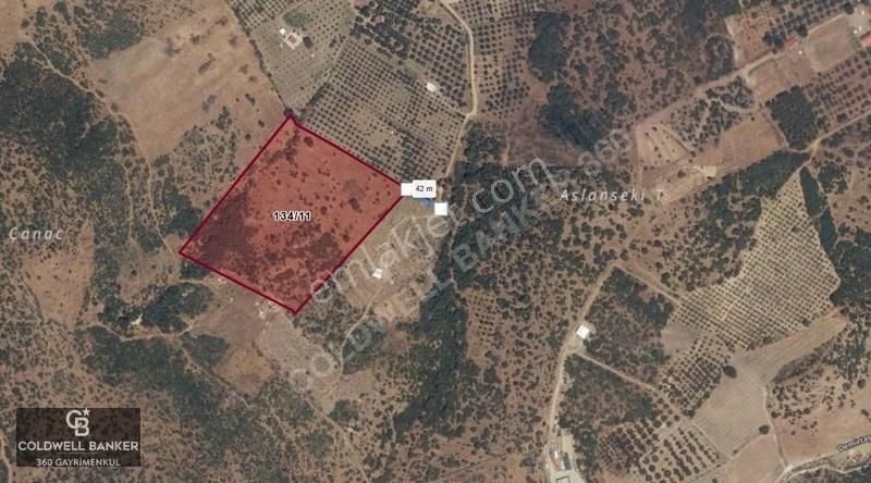 İzmir Dikili Demirtaş'ta Satılık Yatırımlık Arazi - Görsel 2