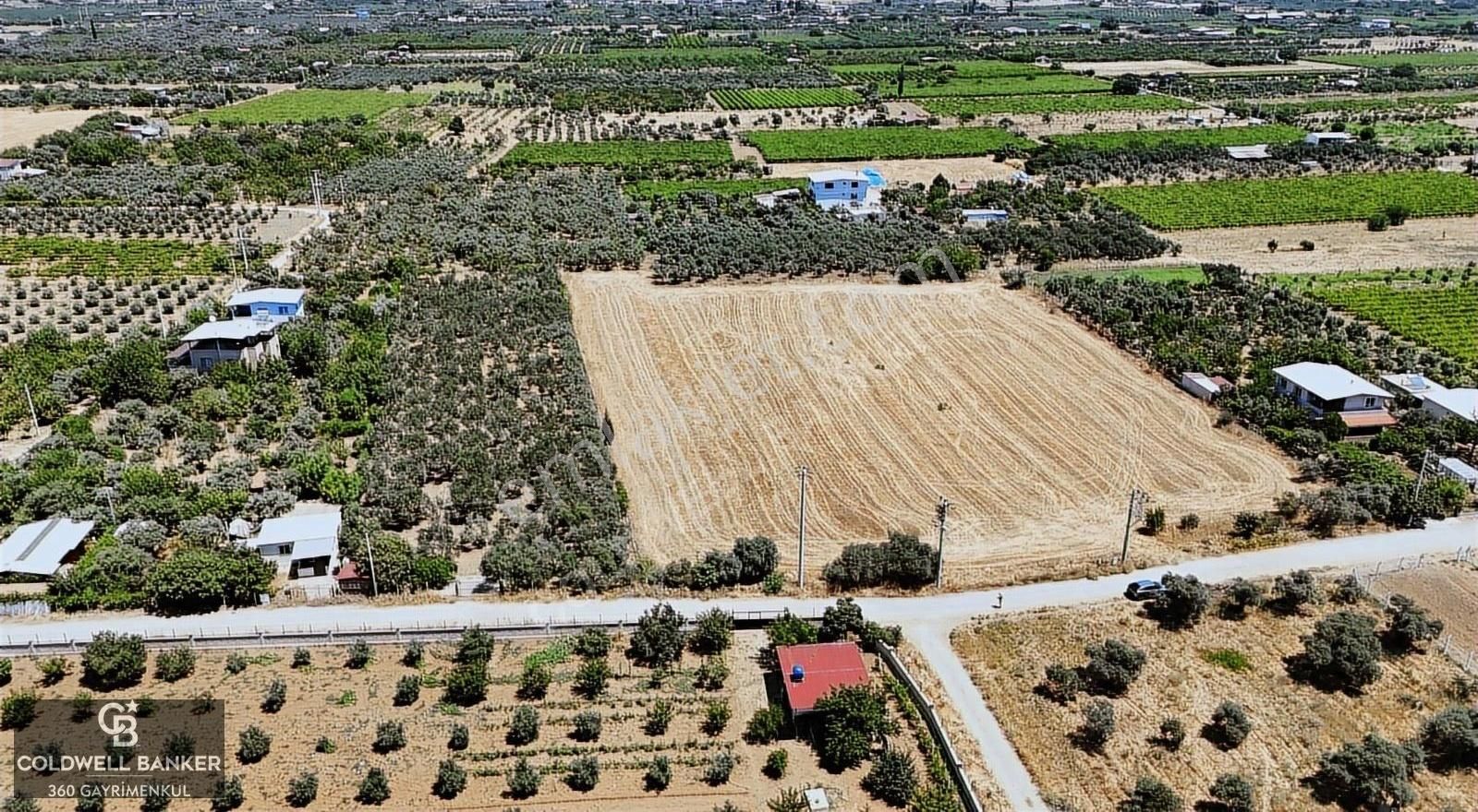 Armutlu Sanayi Arka Bölgesinde 3950m² Satılık Tarla - Görsel 2