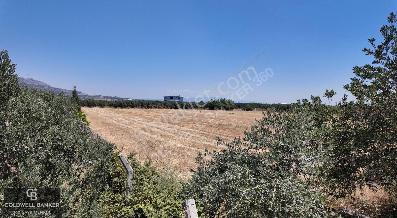 Armutlu Sanayi Arka Bölgesinde 3950m² Satılık Tarla - Görsel 3