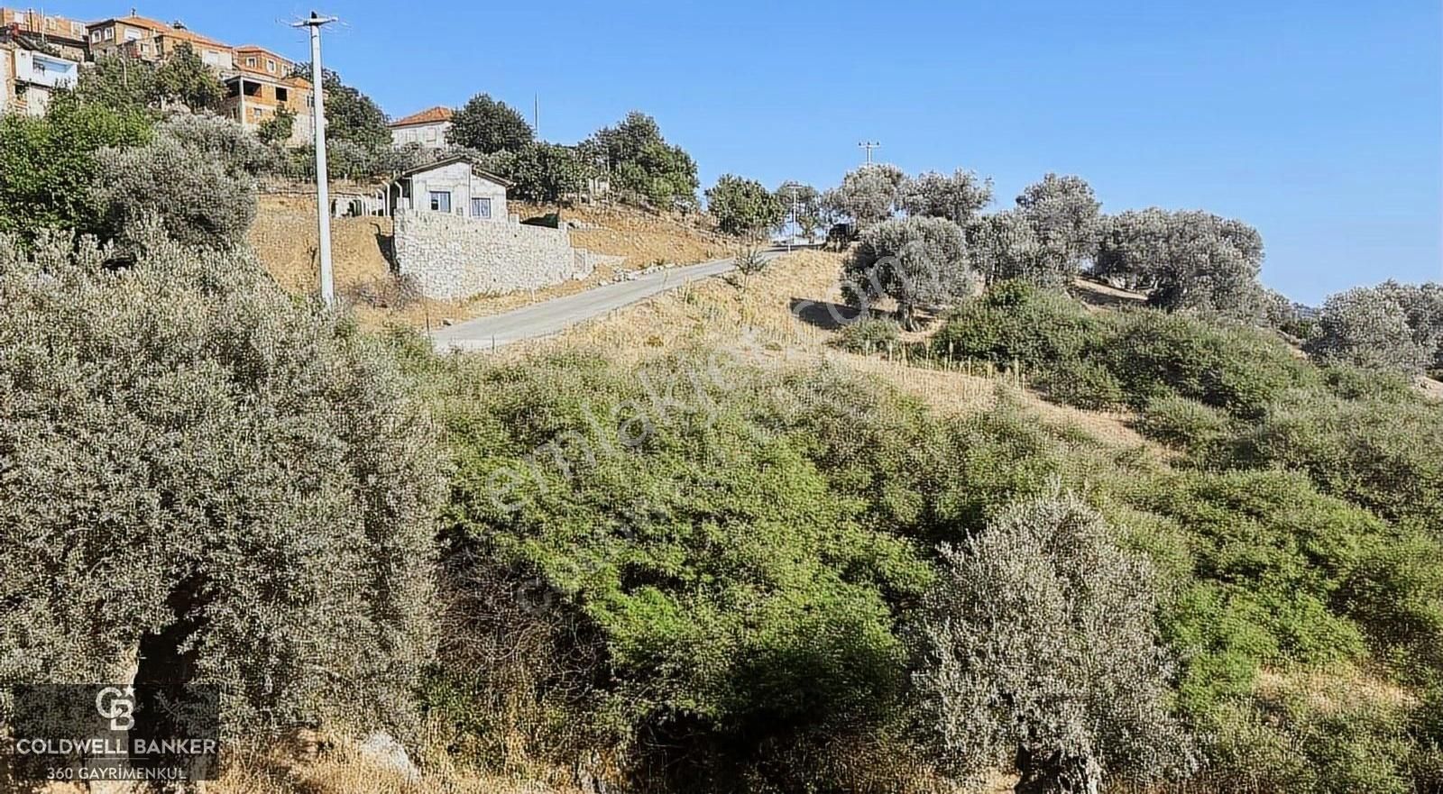 Özteam Den Seferihisar Beyler Köyünde Satılık Arsa - Görsel 4