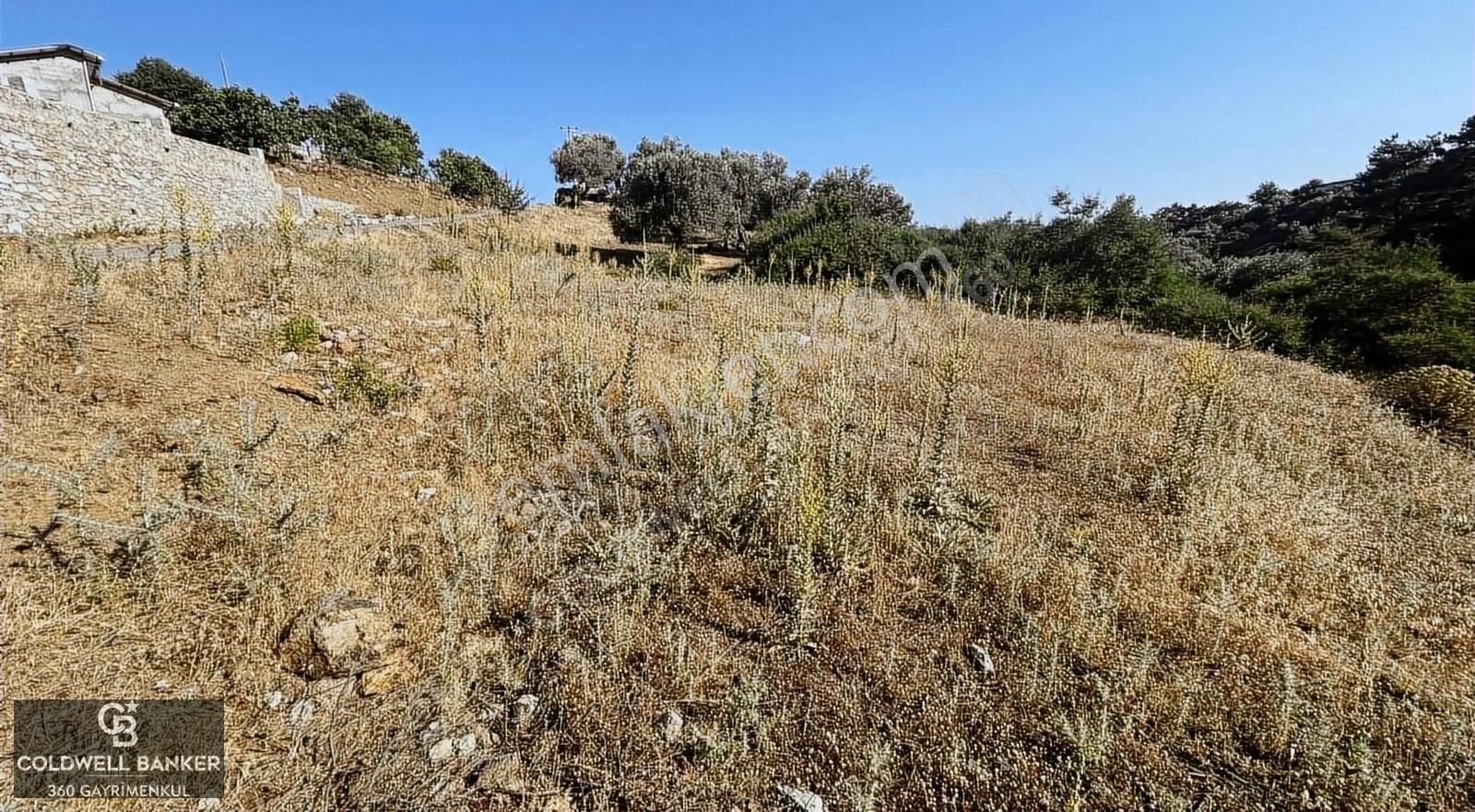 Özteam Den Seferihisar Beyler Köyünde Satılık Arsa - Görsel 3