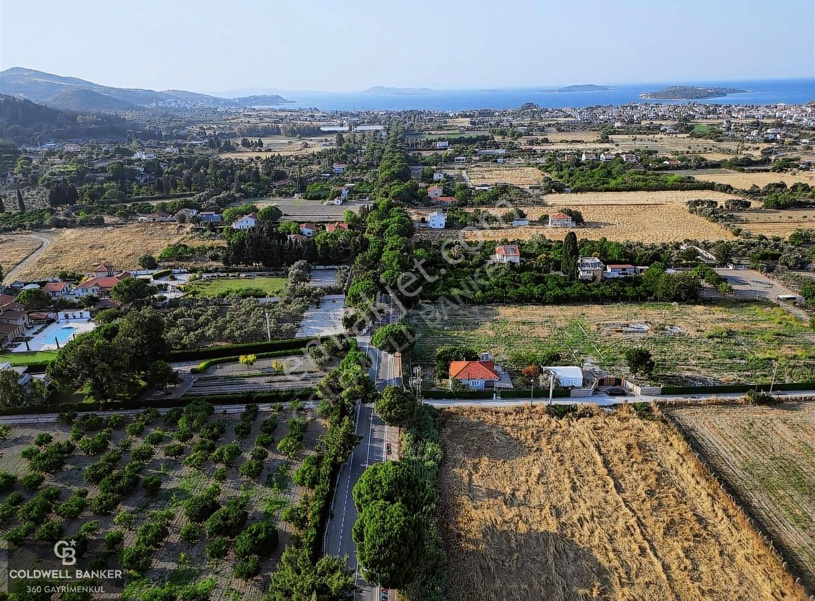 Urla İskelede Denize Yakın, Ağaçlı Yol Üzerinde 9.048 M² Arsa - Görsel 7