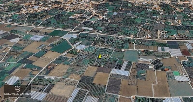 Menemen Emiralem Yayla Mah. Müstakil Parsel Tarla - Görsel 8