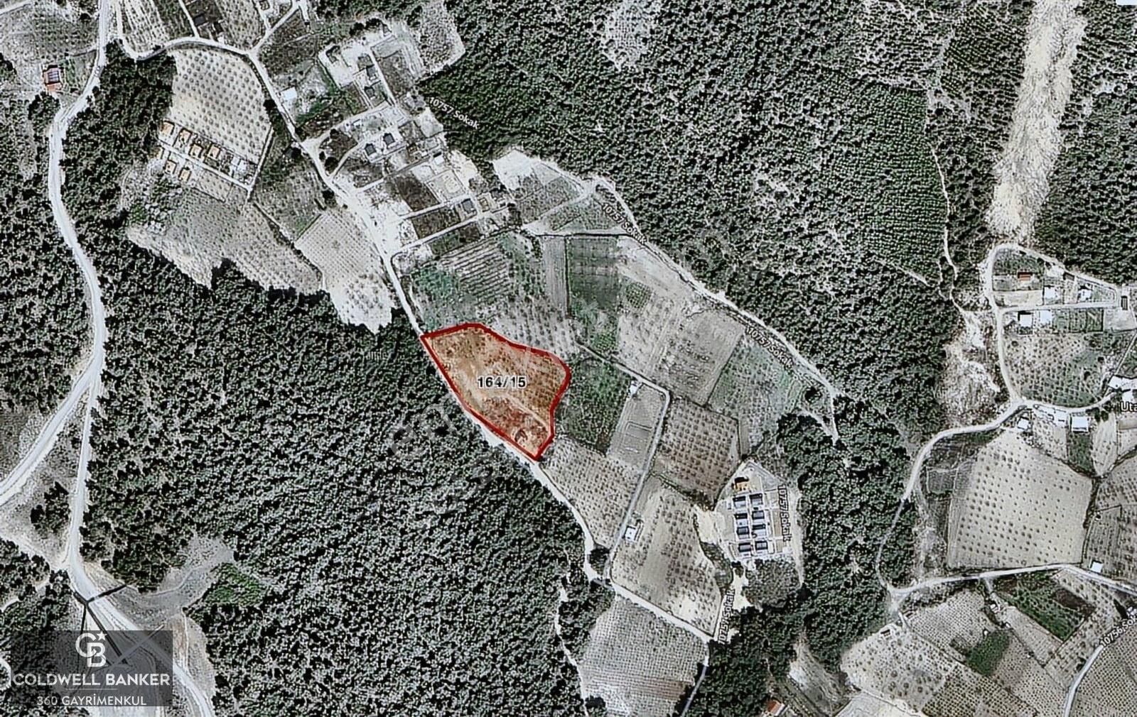 Özteam Den Bornova Yakaköyde Satılık Arsa - Görsel 11