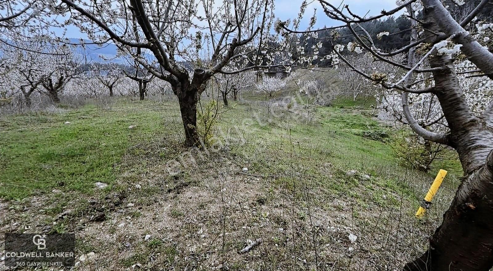 Özteam Den Bornova Yakaköyde Satılık Arsa - Görsel 13