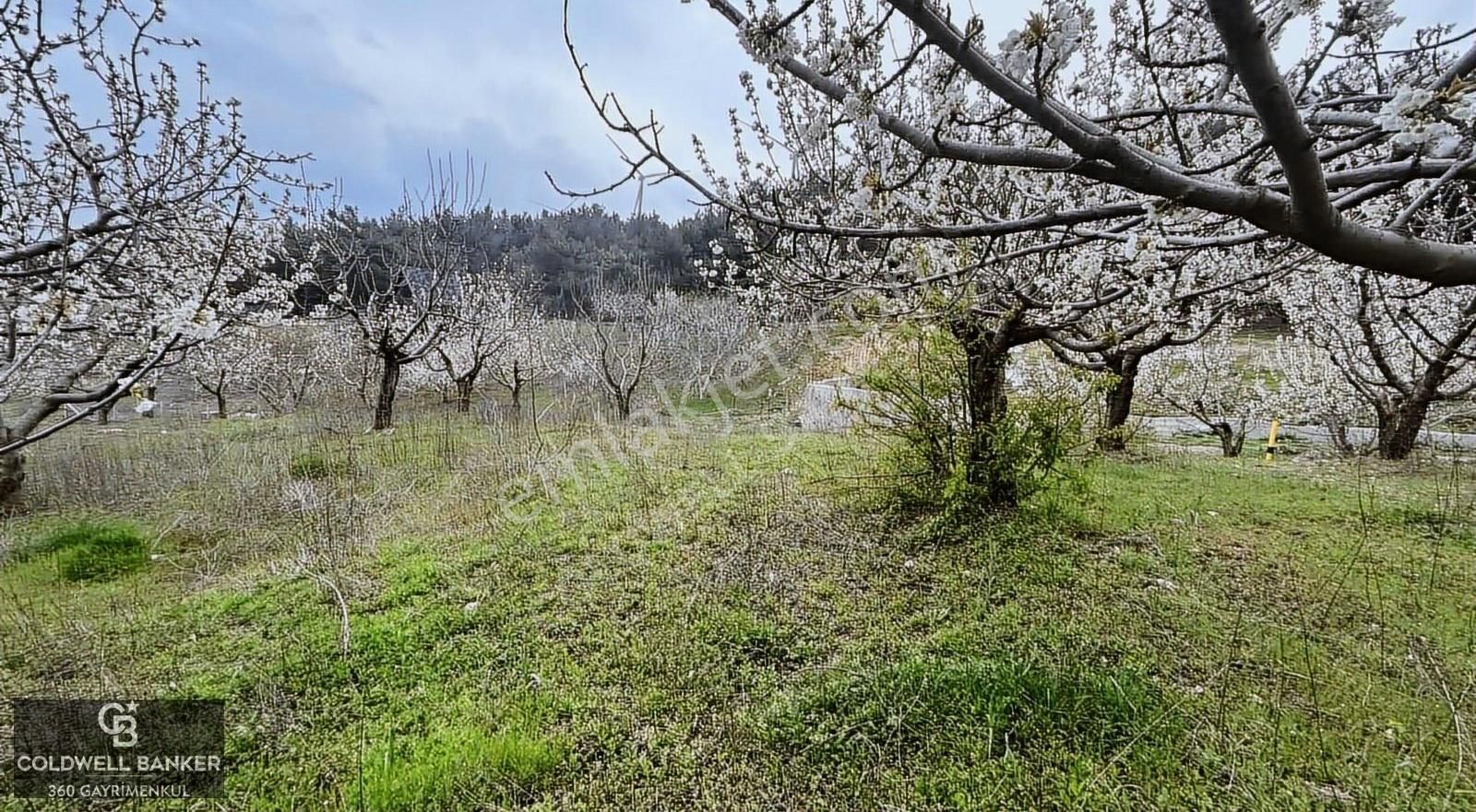 Özteam Den Bornova Yakaköyde Satılık Arsa - Görsel 3