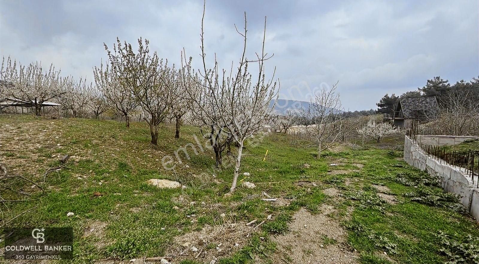 Özteam Den Bornova Yakaköyde Satılık Arsa - Görsel 6