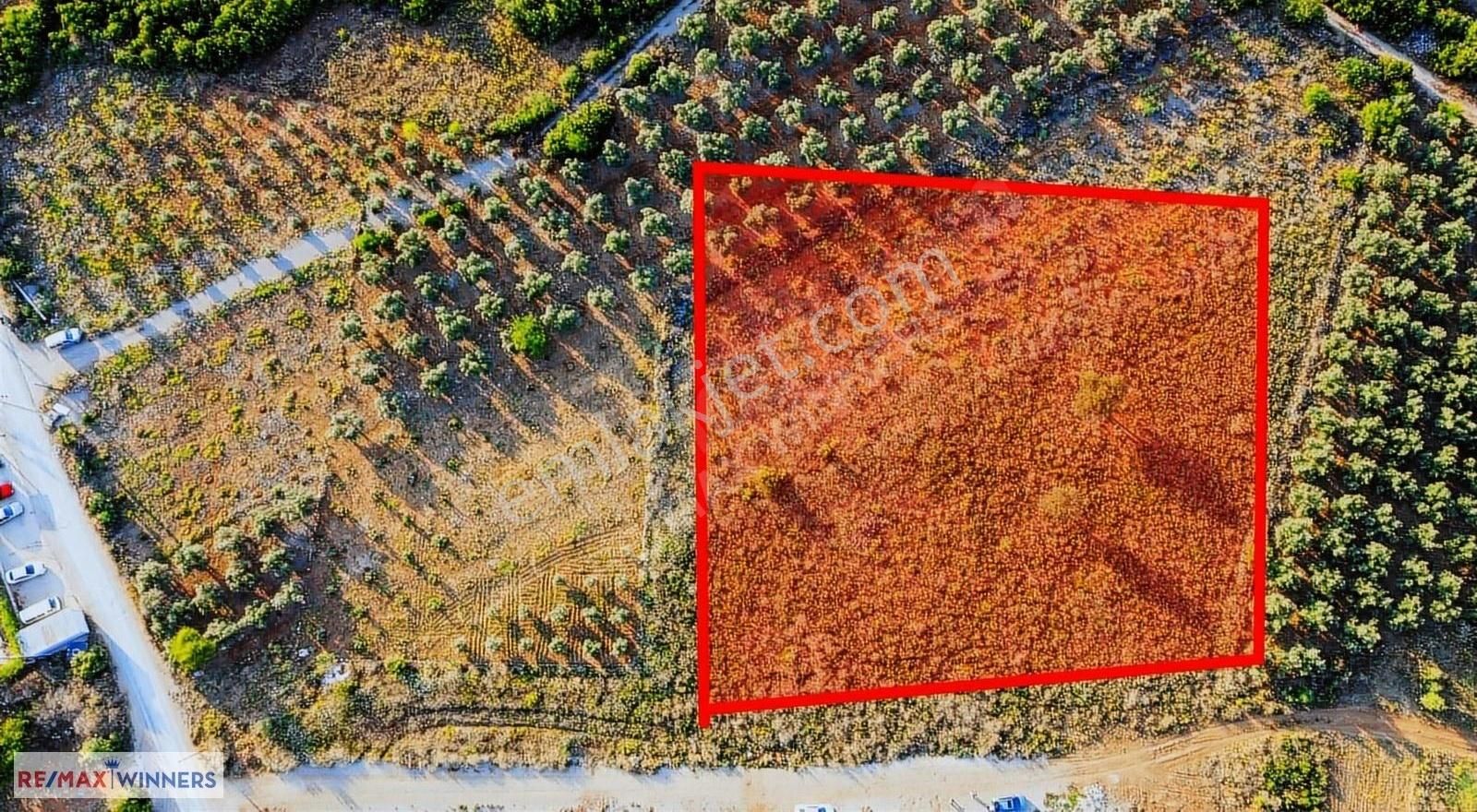 Döşemealtı Çıplaklıda 4380 M² Doğalgaz Depolama Alanı - Görsel 12