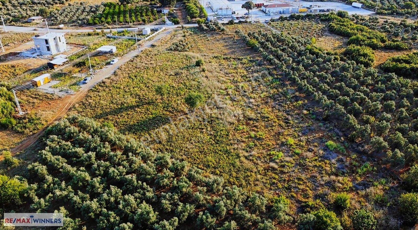 Döşemealtı Çıplaklıda 4380 M² Doğalgaz Depolama Alanı - Görsel 18