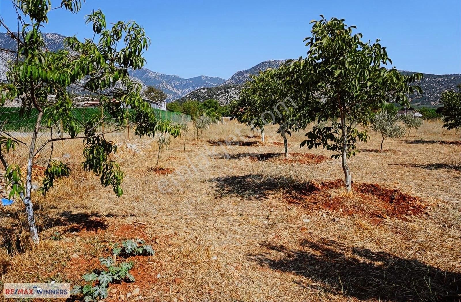 Bayat Bademleri'nde 4126 M2 Yazlık Arazi Ve 2+1 Ev - Görsel 14