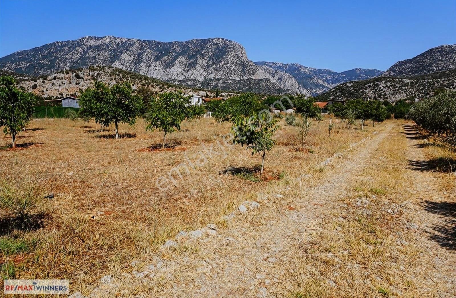 Bayat Bademleri'nde 4126 M2 Yazlık Arazi Ve 2+1 Ev - Görsel 11