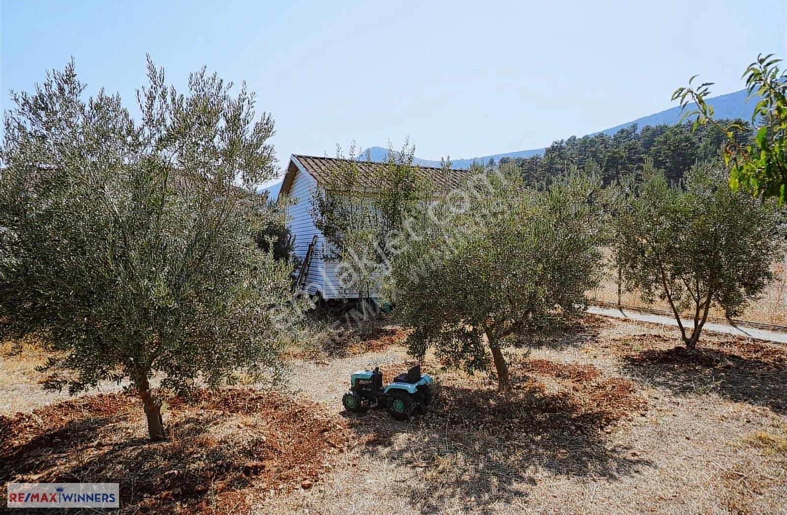 Bayat Bademleri'nde 4126 M2 Yazlık Arazi Ve 2+1 Ev - Görsel 18