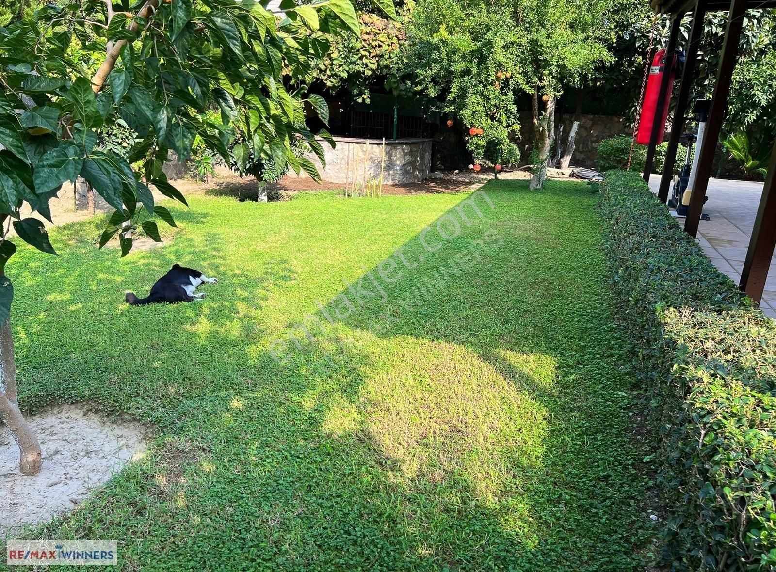 Hollandalı Mimar İmzalı Kemer Göynükte Lüks Ve Tekil Bir Yaşam - Görsel 44