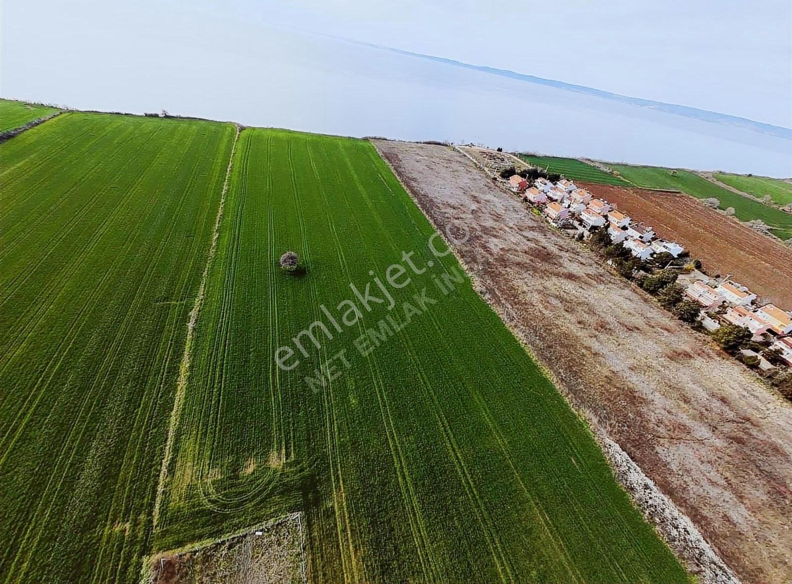 Bolayırda Denize Cephe Otel Ve Konut İmarlı Satılık Uygun Arsa - Görsel 12