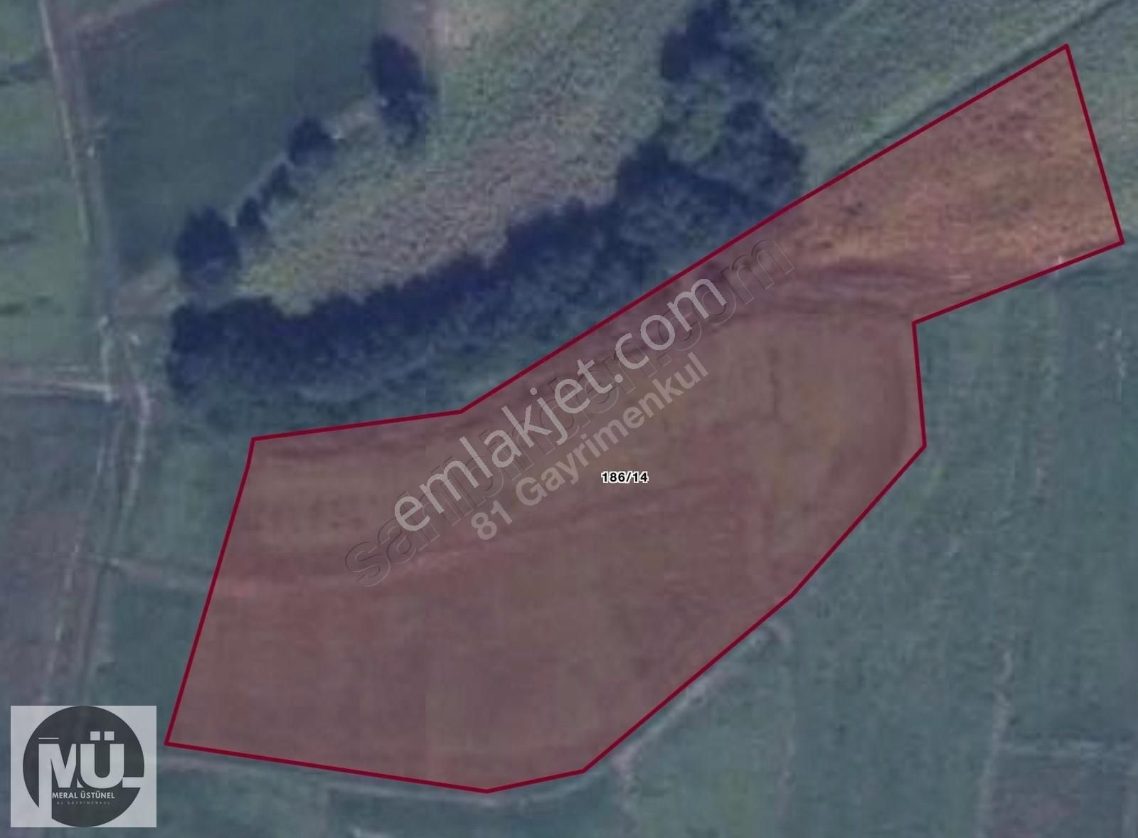 Çatalca Çiftlikköy Mahallesi 8197 M2 Satılık Müstakil Tarla - Görsel 8