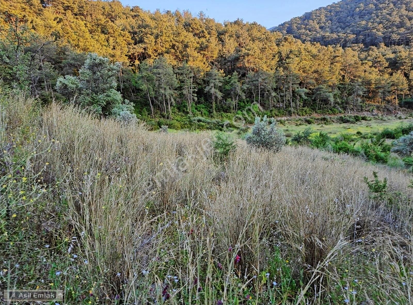Asil Emlaktan Dalyan Gökbelde Satılık Manzaralı 17192m² Tarla - Görsel 19