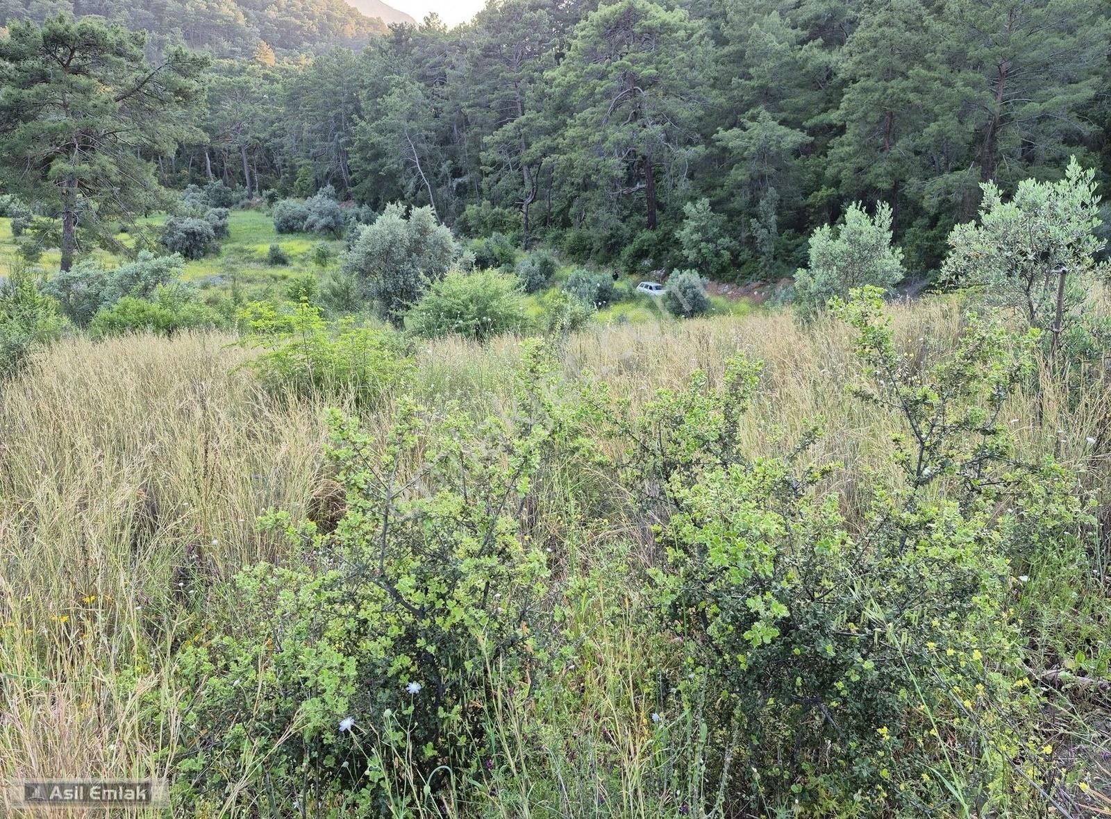 Asil Emlaktan Dalyan Gökbelde Satılık Manzaralı 17192m² Tarla - Görsel 20