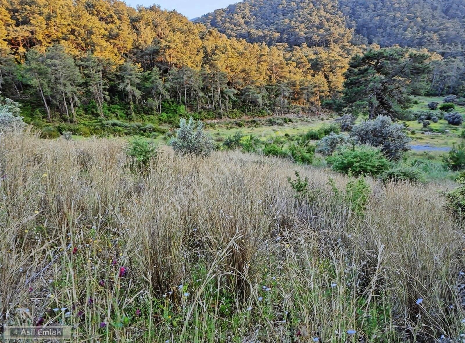 Asil Emlaktan Dalyan Gökbelde Satılık Manzaralı 17192m² Tarla - Görsel 2