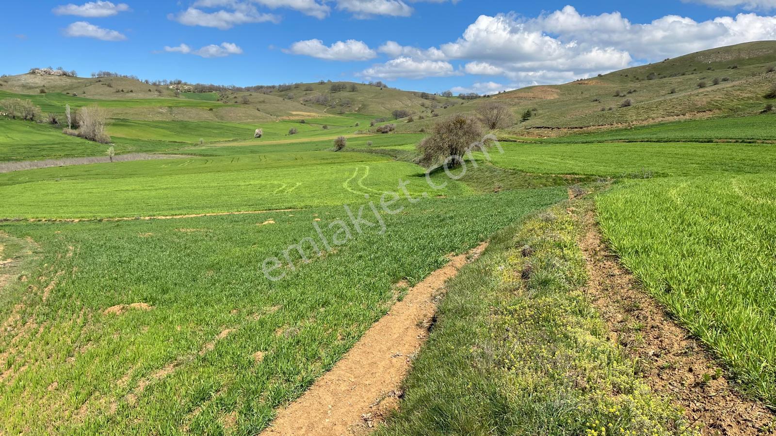 Doğa City'den Satılık Bilecik Söğüt Oluklu'da 1.236 M2 Tarla - Görsel 3