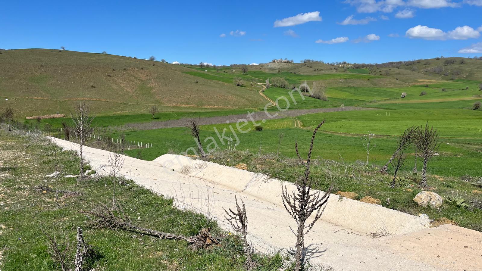 Doğa City'den Satılık Bilecik Söğüt Oluklu'da 1.236 M2 Tarla - Görsel 8