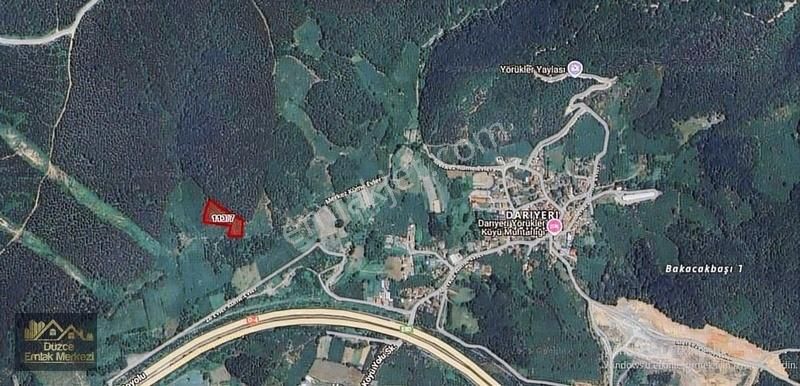 Kaynaşlı Darıyeriyörükler Köyünde 5.129m2 Satılık Fındıklık