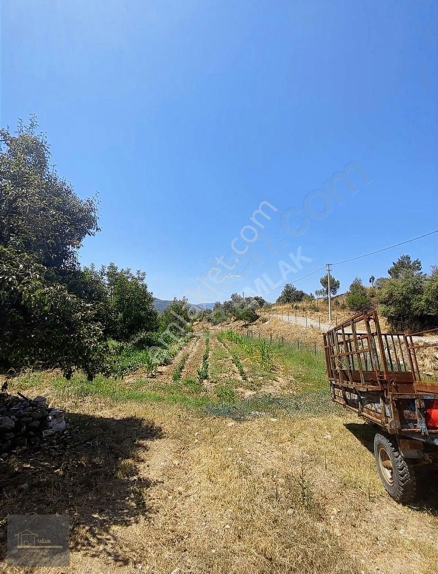 Muğla Menteşe Salihpaşalar Mah. Yatırıma Uygun 17 Dönüm Tarla