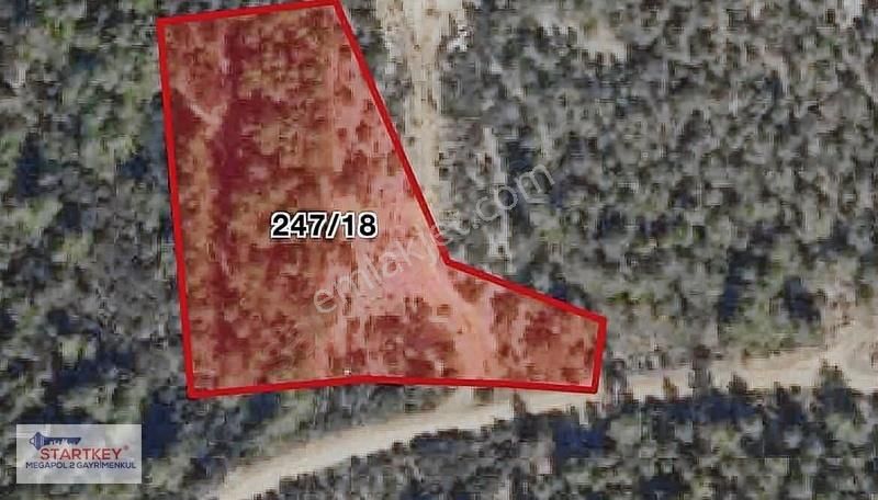 Muğla Gülağazı Akyaka Yakını Acil Satılık Tarla