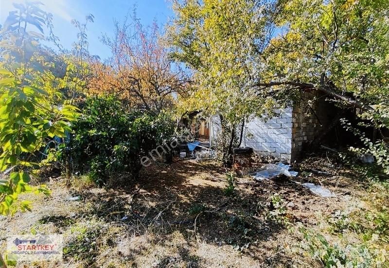 Kemalpaşa Nazarköy De Satılık Kiraz Bahçesi Ve Ruhsatlı Ev - Görsel 2