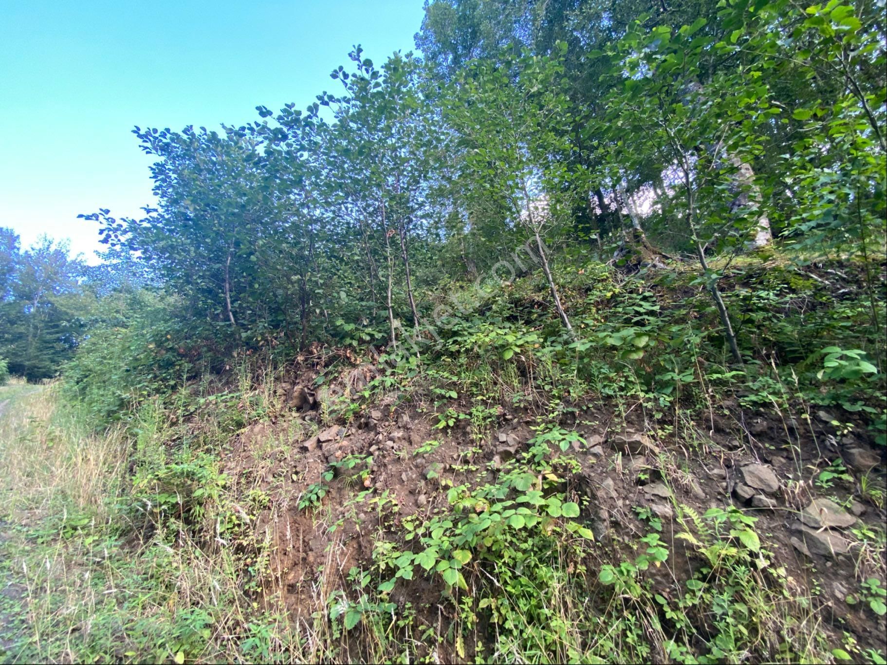 Akçaabat Akçakale De Satılık Arazi - Görsel 13