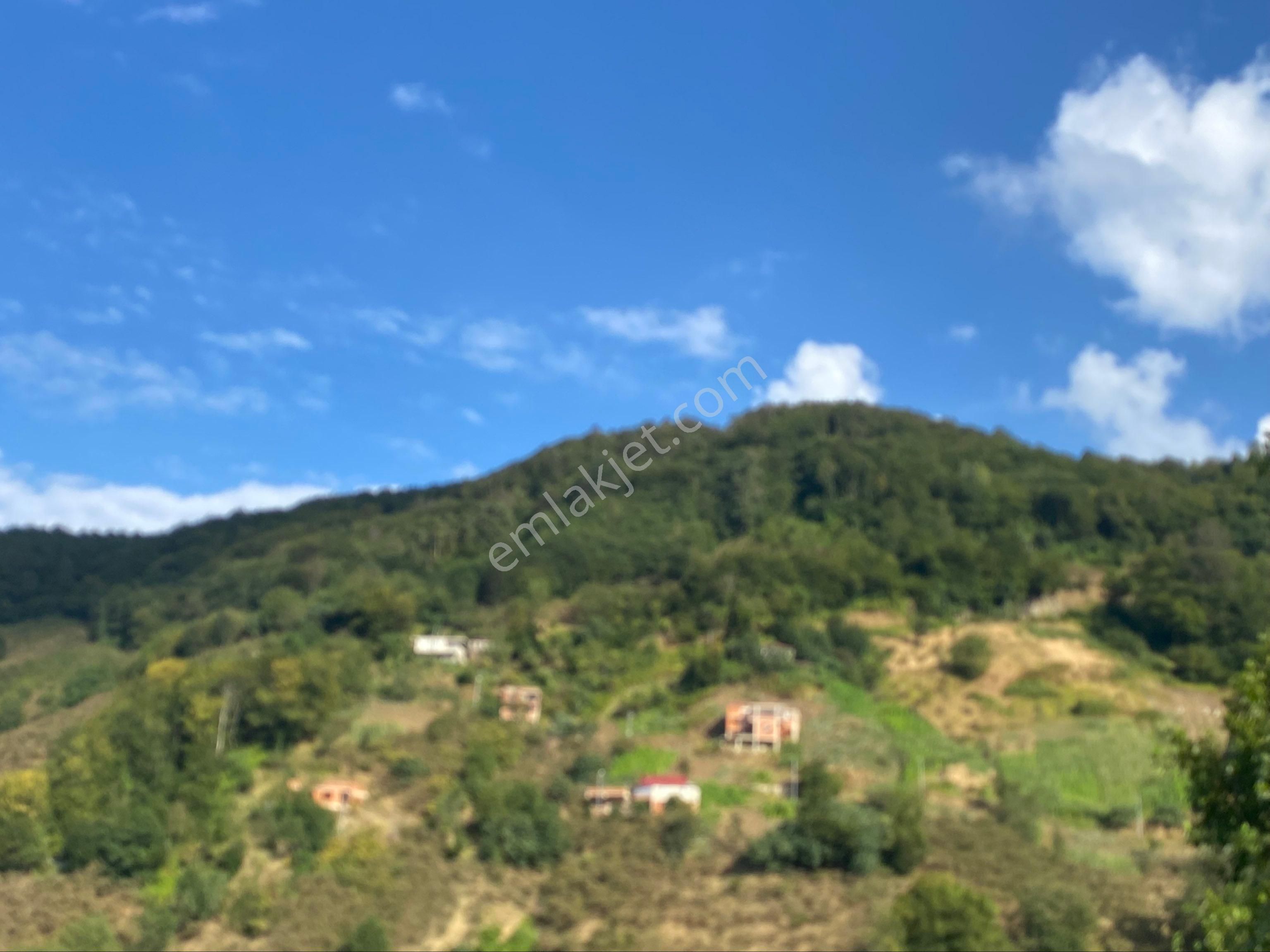 Akçaabat Akçakale De Satılık Arazi - Görsel 3
