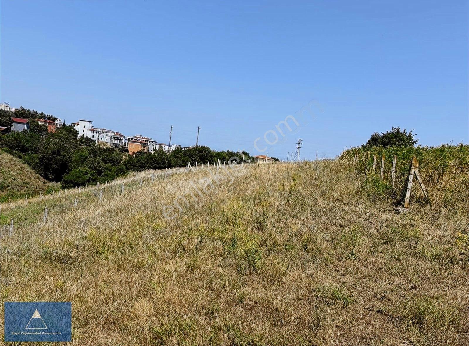 Satılık Altyapısı Ödenmiş Yolu Açılmış Arsa - Görsel 7