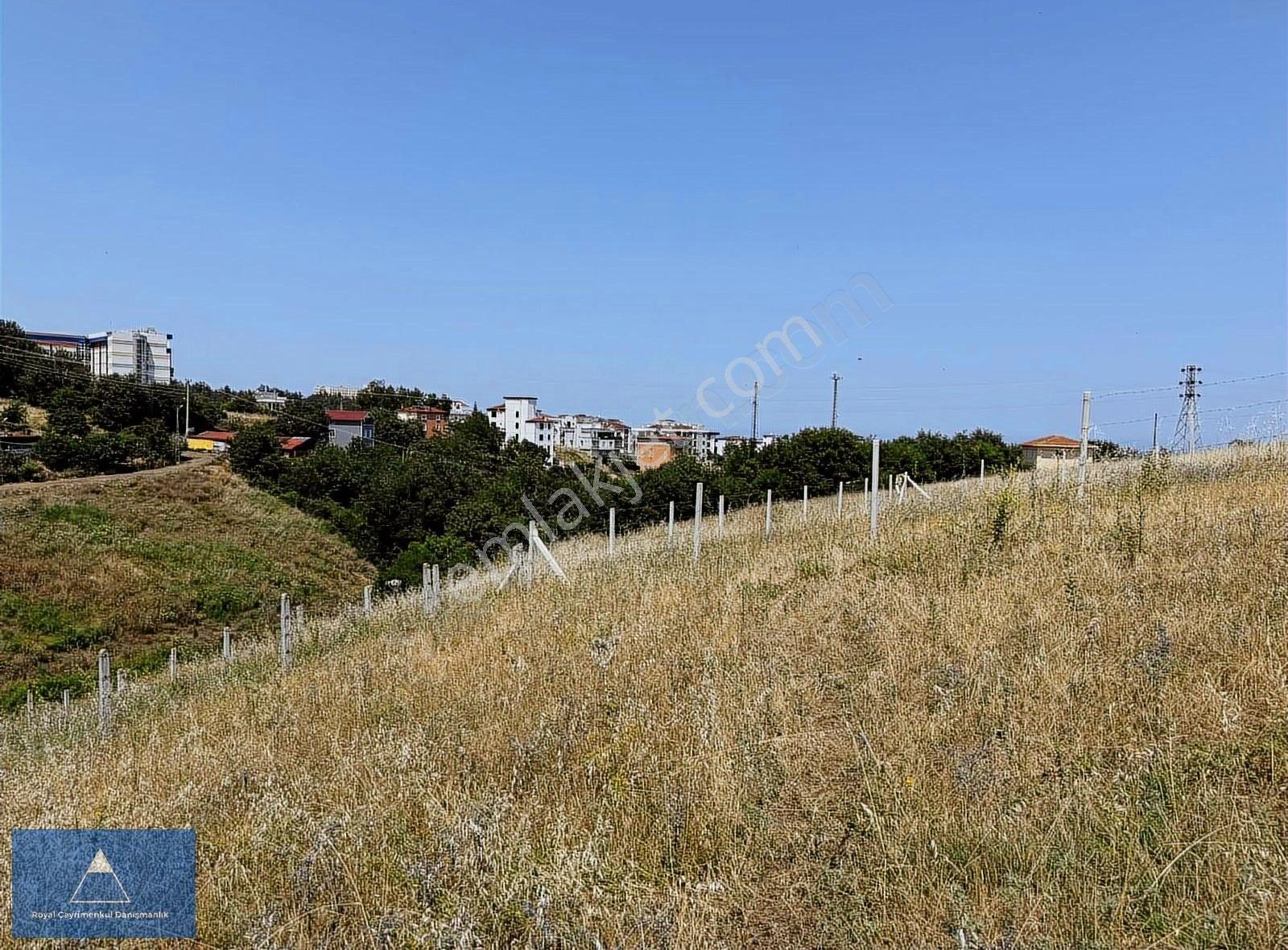 Satılık Altyapısı Ödenmiş Yolu Açılmış Arsa - Görsel 11