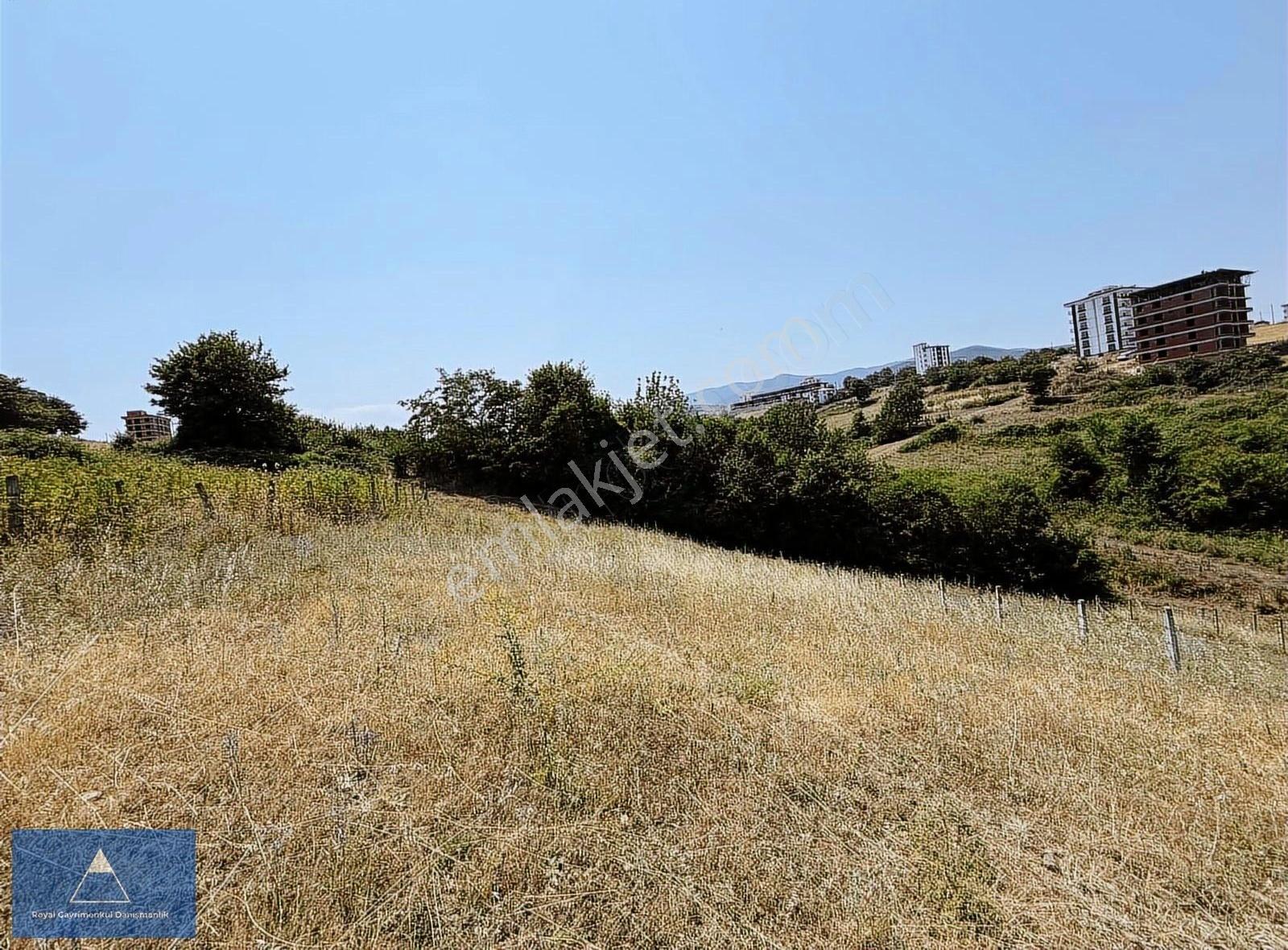 Satılık Altyapısı Ödenmiş Yolu Açılmış Arsa - Görsel 10