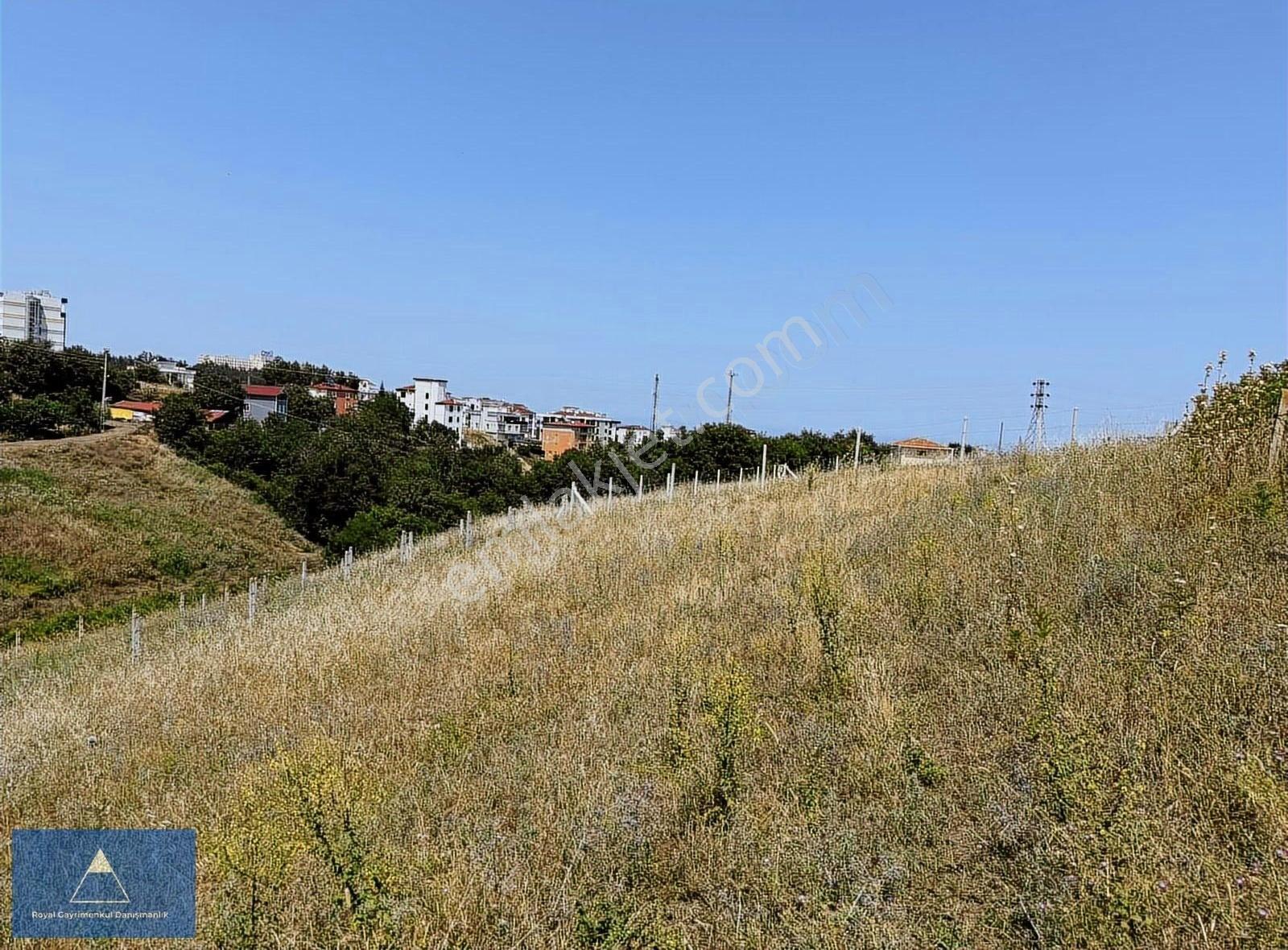 Satılık Altyapısı Ödenmiş Yolu Açılmış Arsa - Görsel 15