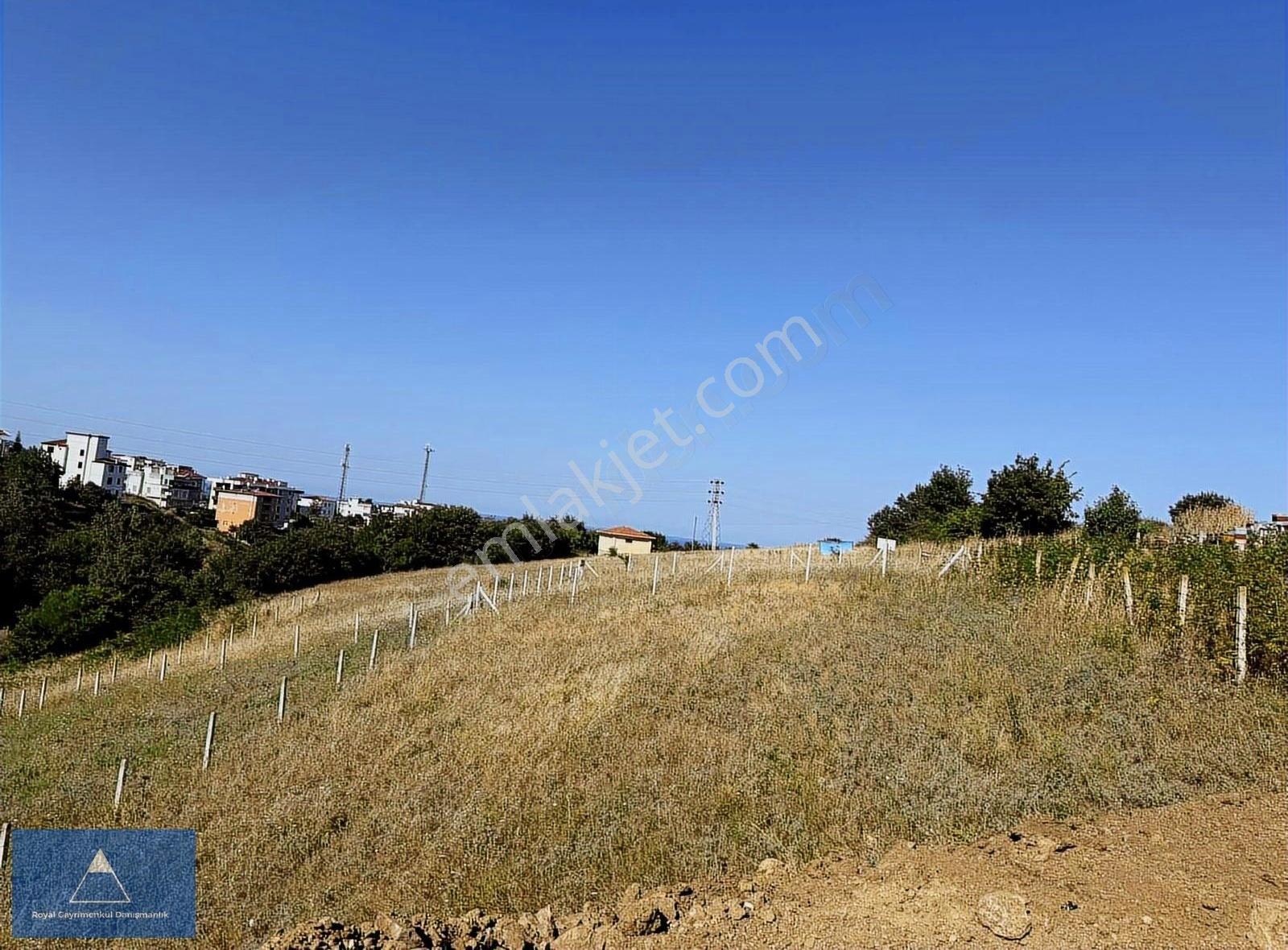 Satılık Altyapısı Ödenmiş Yolu Açılmış Arsa - Görsel 2
