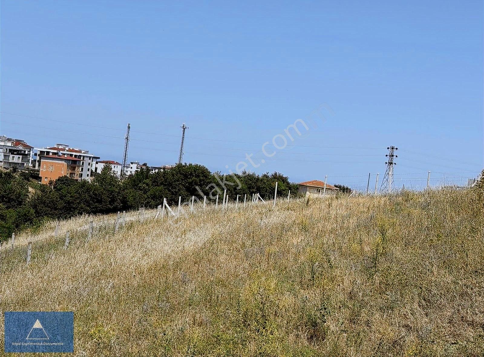 Satılık Altyapısı Ödenmiş Yolu Açılmış Arsa - Görsel 9